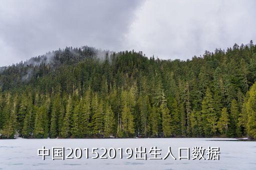 中國嬰兒潮與經濟增長
