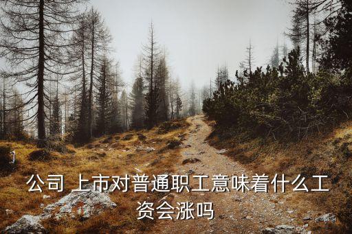  公司 上市對普通職工意味著什么工資會(huì)漲嗎