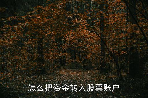 怎么把資金轉(zhuǎn)入股票賬戶(hù)