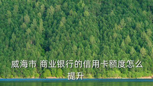 威海商業(yè)銀行譚先國(guó)