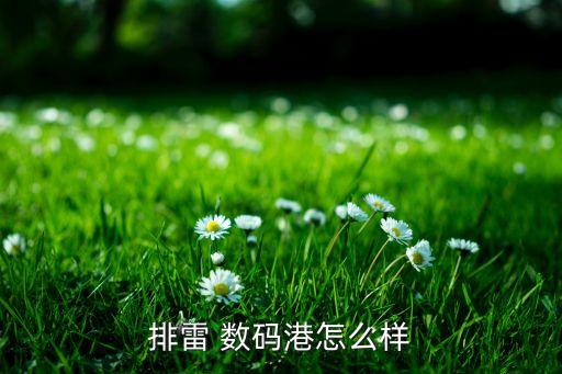 排雷 數碼港怎么樣