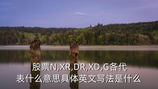  股票N,XR,DR,XD,G各代表什么意思具體英文寫(xiě)法是什么