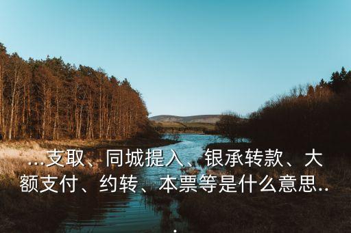 ...支取、同城提入、銀承轉(zhuǎn)款、大額支付、約轉(zhuǎn)、本票等是什么意思...