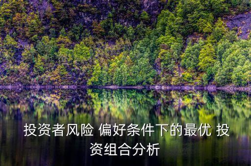  投資者風(fēng)險 偏好條件下的最優(yōu) 投資組合分析