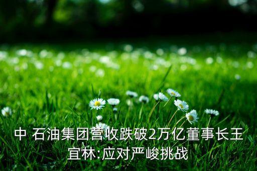 中 石油集團(tuán)營(yíng)收跌破2萬億董事長(zhǎng)王宜林:應(yīng)對(duì)嚴(yán)峻挑戰(zhàn)