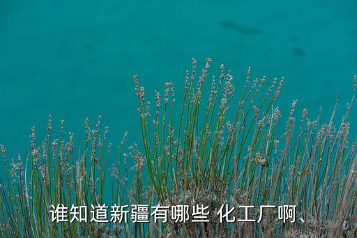 誰知道新疆有哪些 化工廠啊、