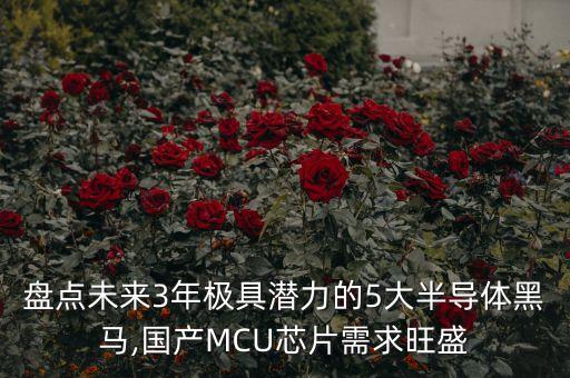 盤點(diǎn)未來(lái)3年極具潛力的5大半導(dǎo)體黑馬,國(guó)產(chǎn)MCU芯片需求旺盛