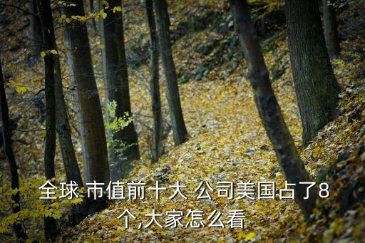  全球 市值前十大 公司美國占了8個(gè),大家怎么看