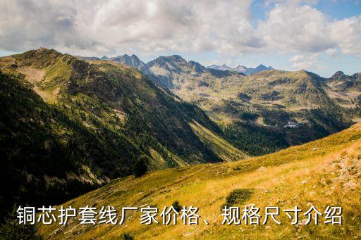 銅芯護(hù)套線廠家價(jià)格、規(guī)格尺寸介紹