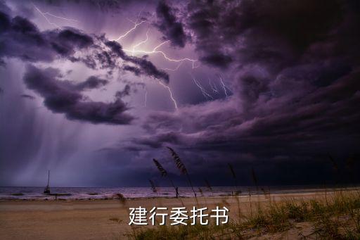 建行委托書(shū)