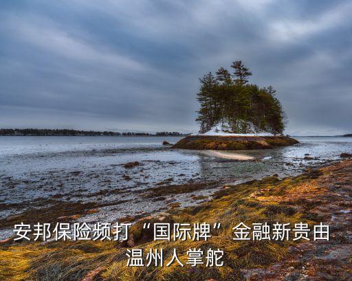 安邦保險(xiǎn)頻打“國際牌”金融新貴由 溫州人掌舵
