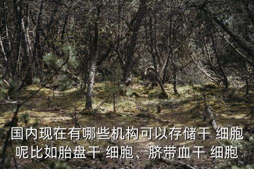 國內(nèi)現(xiàn)在有哪些機(jī)構(gòu)可以存儲(chǔ)干 細(xì)胞呢比如胎盤干 細(xì)胞、臍帶血干 細(xì)胞