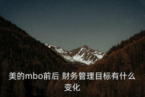 美的集團(tuán)財務(wù)分析
