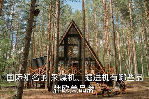 國(guó)際知名的 采煤機(jī)、掘進(jìn)機(jī)有哪些品牌歐美品牌