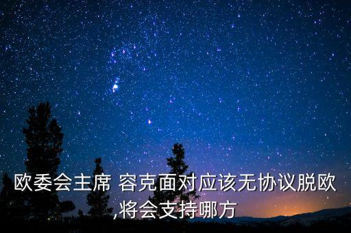 歐委會主席 容克面對應該無協(xié)議脫歐,將會支持哪方