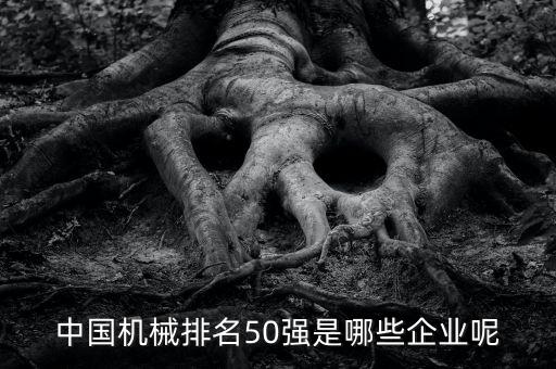中國機(jī)械排名50強(qiáng)是哪些企業(yè)呢