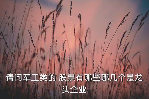 請問軍工類的 股票有哪些哪幾個(gè)是龍頭企業(yè)