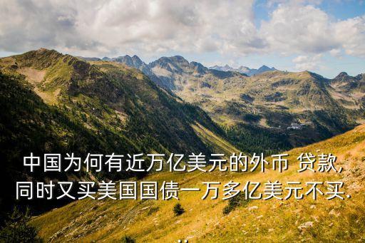 中國(guó)為何有近萬(wàn)億美元的外幣 貸款,同時(shí)又買美國(guó)國(guó)債一萬(wàn)多億美元不買...