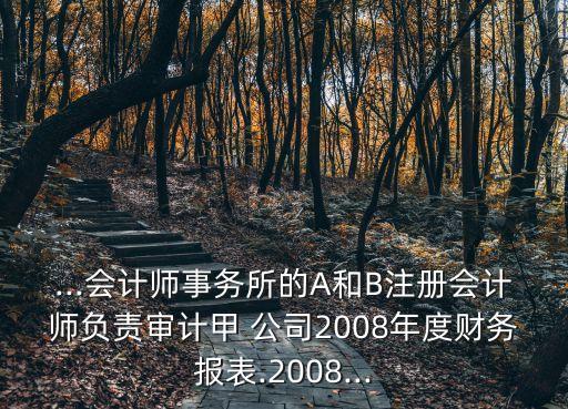 ...會計師事務所的A和B注冊會計師負責審計甲 公司2008年度財務報表.2008...