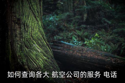 喀什天津航空公司電話,喀什機場屬于哪個航空公司