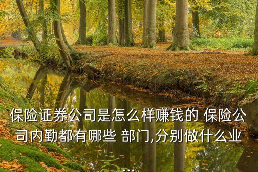 保險(xiǎn)證券公司是怎么樣賺錢的 保險(xiǎn)公司內(nèi)勤都有哪些 部門,分別做什么業(yè)...