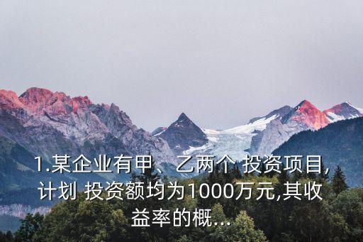 某公司準備進行兩種組合投資