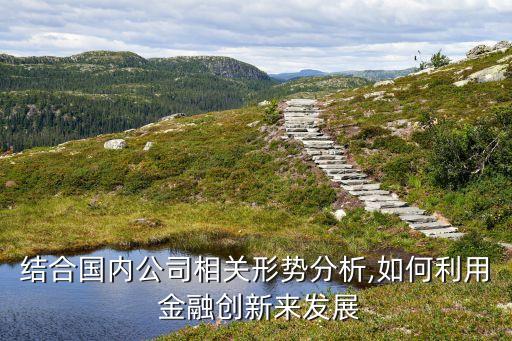 結(jié)合國(guó)內(nèi)公司相關(guān)形勢(shì)分析,如何利用 金融創(chuàng)新來發(fā)展