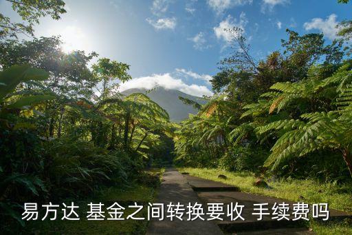 易方達(dá) 基金之間轉(zhuǎn)換要收 手續(xù)費嗎