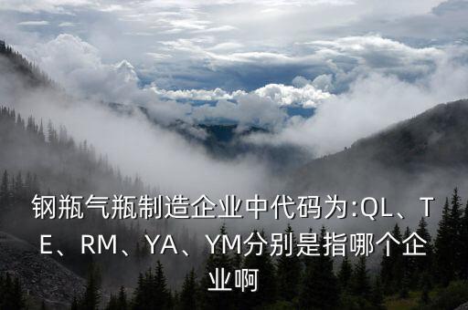 鋼瓶氣瓶制造企業(yè)中代碼為:QL、TE、RM、YA、YM分別是指哪個(gè)企業(yè)啊