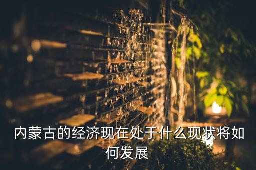  內(nèi)蒙古的經(jīng)濟現(xiàn)在處于什么現(xiàn)狀將如何發(fā)展