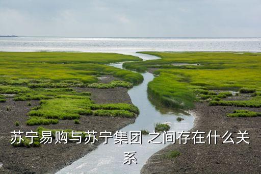 國誠金融與國陽財(cái)富公司之間的關(guān)系