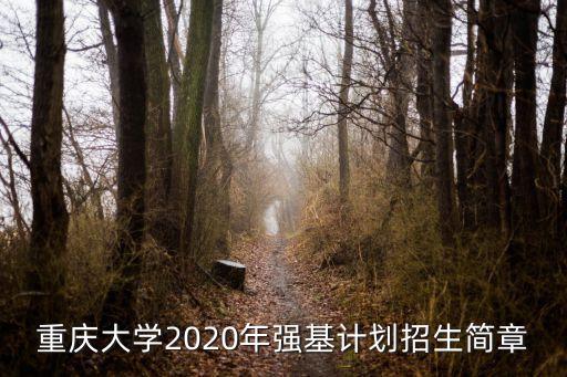 重慶大學(xué)2020年強(qiáng)基計劃招生簡章
