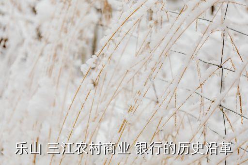 樂山 三江農村商業(yè) 銀行的歷史沿革