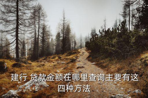  建行 貸款金額在哪里查詢(xún)主要有這四種方法