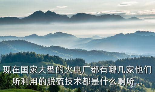 現(xiàn)在國家大型的火電廠都有哪幾家他們所利用的脫硫技術都是什么啊所...