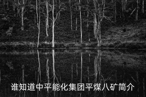 誰(shuí)知道中平能化集團(tuán)平煤八礦簡(jiǎn)介
