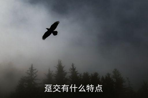 躉交有什么特點