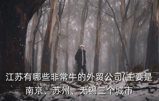 江蘇有哪些非常牛的外貿(mào)公司(主要是南京、蘇州、無(wú)錫三個(gè)城市