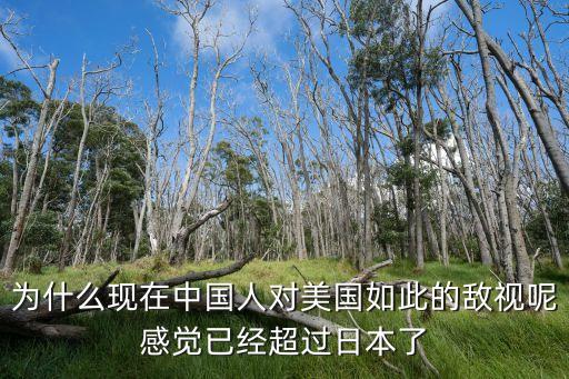 為什么現(xiàn)在中國(guó)人對(duì)美國(guó)如此的敵視呢感覺已經(jīng)超過日本了
