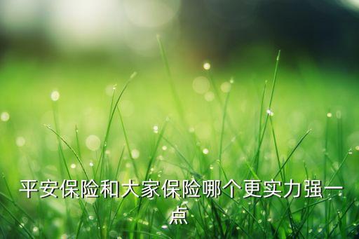  平安保險和大家保險哪個更實(shí)力強(qiáng)一點(diǎn)