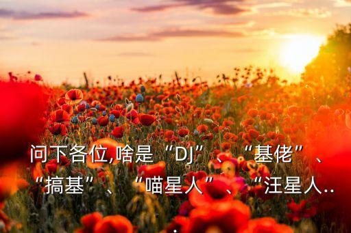 問下各位,啥是“DJ”、“基佬”、“搞基”、“喵星人”、“汪星人...