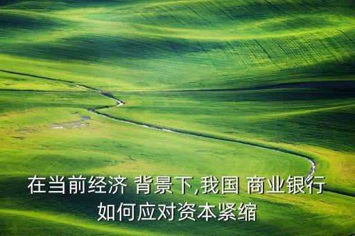 在當前經(jīng)濟 背景下,我國 商業(yè)銀行如何應(yīng)對資本緊縮