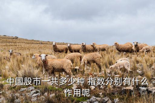 股票國內指數(shù),滬深300指數(shù)股票