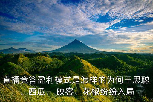 直播競(jìng)答盈利模式是怎樣的為何王思聰、西瓜、 映客、花椒紛紛入局