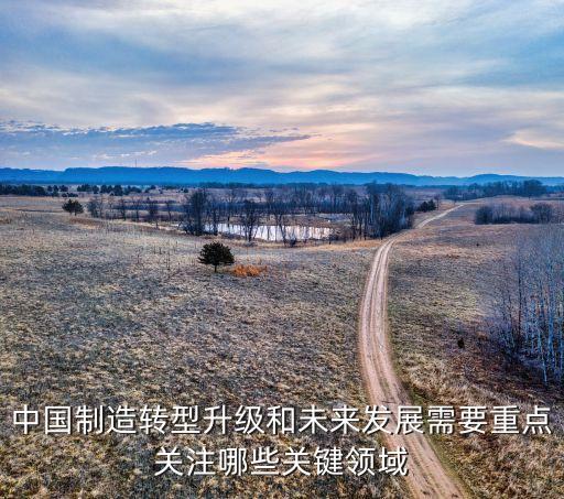 中國(guó)制造轉(zhuǎn)型升級(jí)和未來發(fā)展需要重點(diǎn)關(guān)注哪些關(guān)鍵領(lǐng)域