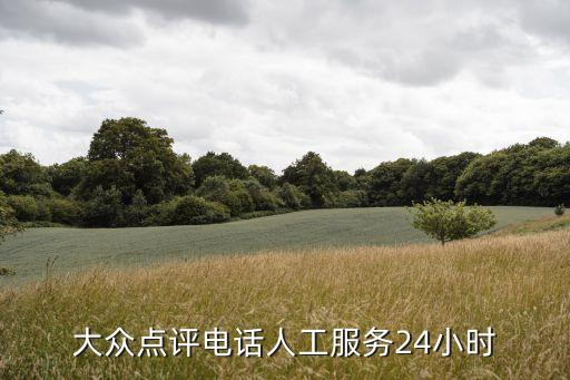 大眾點(diǎn)評電話人工服務(wù)24小時(shí)