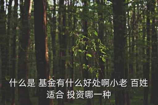 什么是 基金有什么好處啊小老 百姓適合 投資哪一種