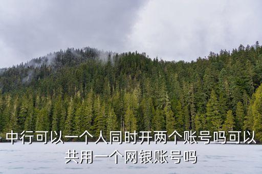 中行可以一個(gè)人同時(shí)開兩個(gè)賬號(hào)嗎可以共用一個(gè)網(wǎng)銀賬號(hào)嗎