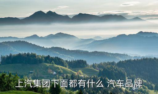 上海國(guó)利汽車真皮飾件有限責(zé)任公司的