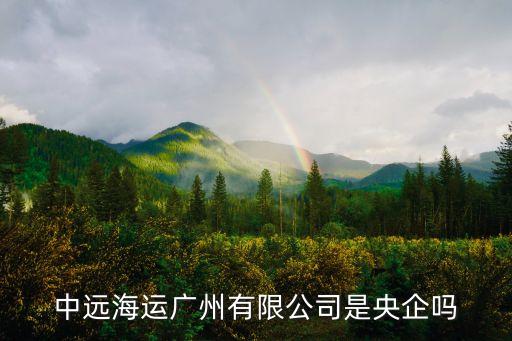 中遠(yuǎn)海運廣州有限公司是央企嗎